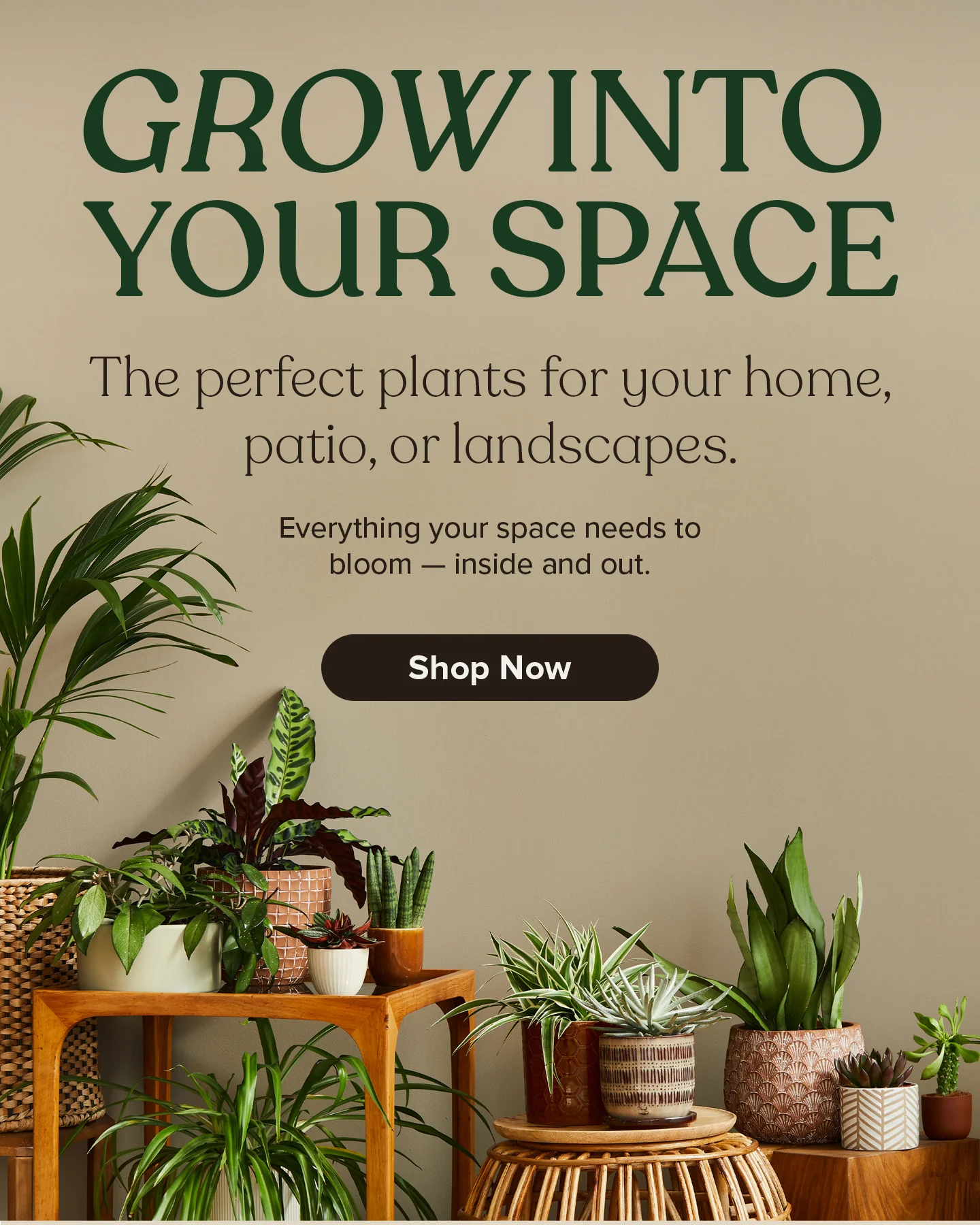 Natural Privacy for Your Sanctuary